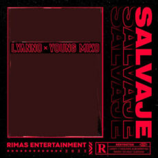 SALVAJE