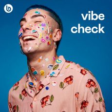 Vibe Check