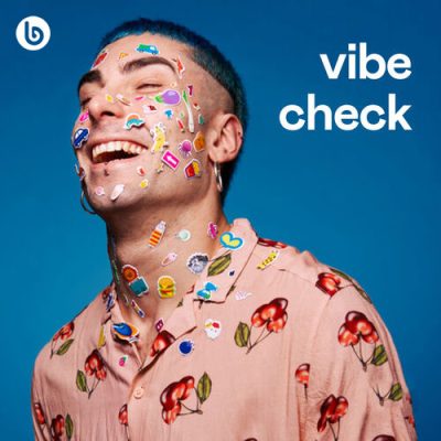 Vibe Check