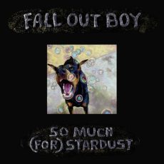 Heartbreak Feels So Good Fall Out Boy