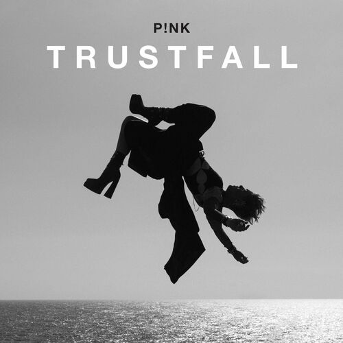 TRUSTFALL Pnk