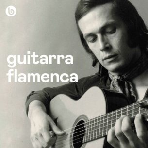 Guitarra Flamenca