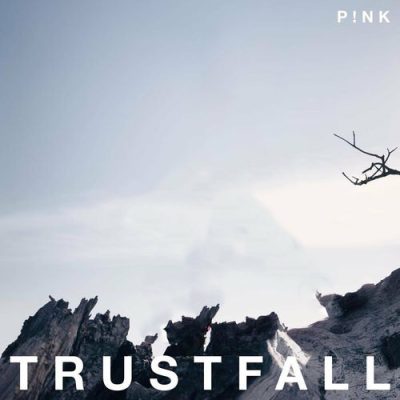 TRUSTFALL Pnk