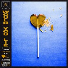 Would You Lie Acoustic Version Seeb Alexander Stewart