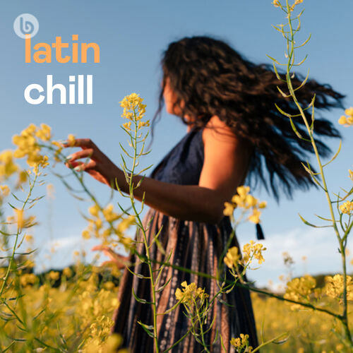 Latin Chill