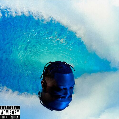 SURF OR DROWN Hit Boy 1