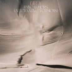 Raincatchers Alternative Versions Birdy