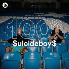 100 uicideboy