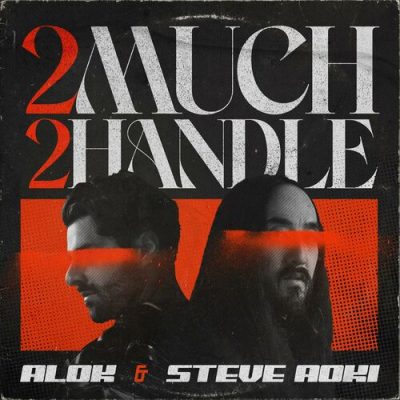 2 Much 2 Handle Alok Steve Aoki