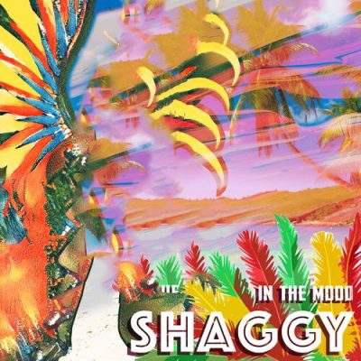 In The Mood Shaggy