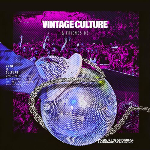 Vintage Culture Friends Vol. 5 Vintage Culture Coach Harrison