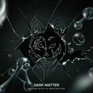 Dark Matter Masked Wolf AWOLNATION