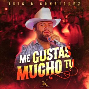 Me Gustas Mucho Tu Luis R Conriquez