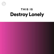 This Is Destroy Lonely