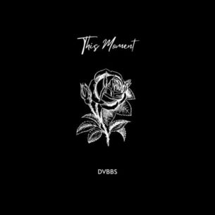 This Moment DVBBS