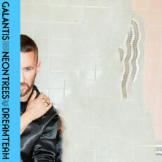 Dreamteam Galantis Neon Trees