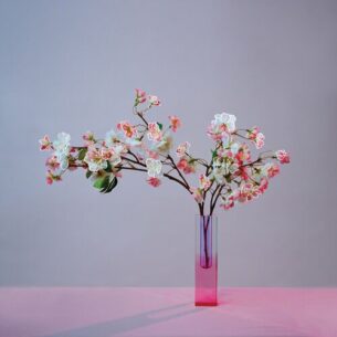 plum blossom revisited mxmtoon
