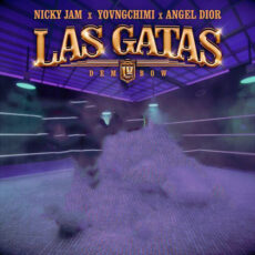 Las Gatas Dembow Nicky Jam YOVNGCHIMI ANGEL DIOR