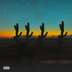 Cactus Belinda