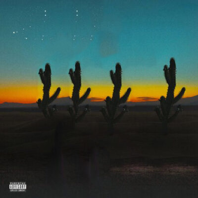 Cactus Belinda