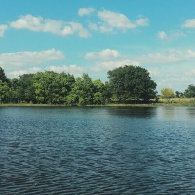 May Ninth Khruangbin