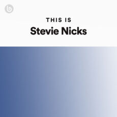 This Is Stevie Nicks