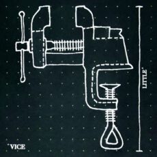 little vice Cavetown