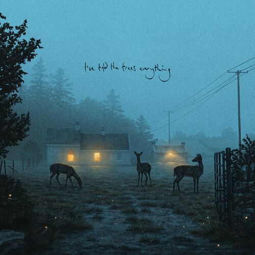 Ive told the trees everything Dermot Kennedy