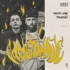 Cangrinaje Nicky Jam Trueno
