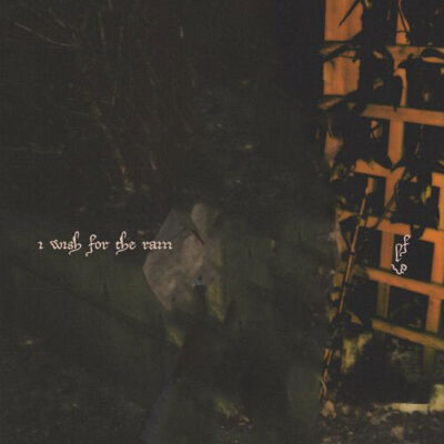 I wish for the rain Liana Flores