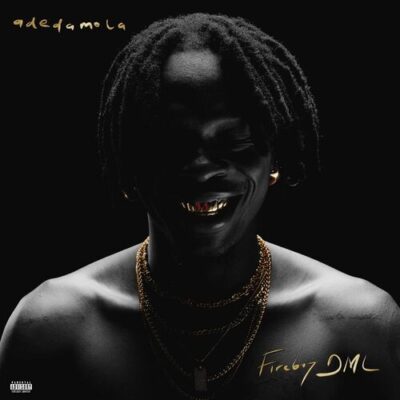 adedamola Fireboy DML