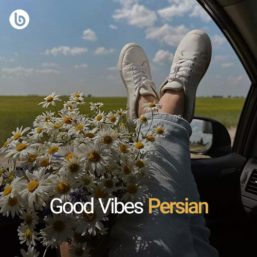 Good Vibe persian