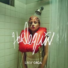 Harlequin Lady Gaga