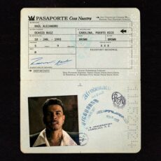 Pasaporte Rauw Alejandro Mr. Naisgai