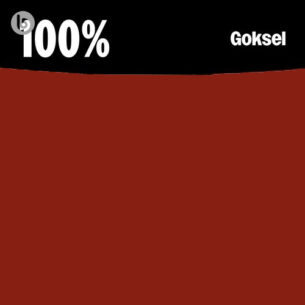 100 Goksel