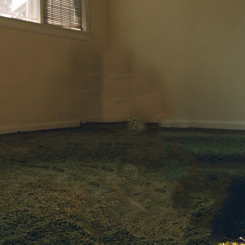 In The Living Room Maggie Rogers