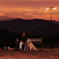 Long Way Home Jamie Miller