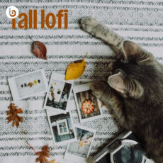 fall lofi