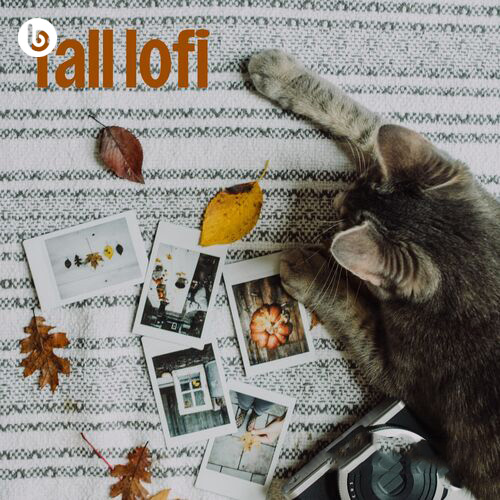 fall lofi
