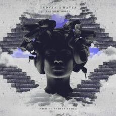 Another World Remix MEDUZA HAYLA Nico de Andrea