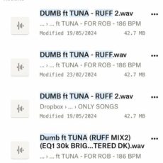 DUMB Noga Erez Tuna