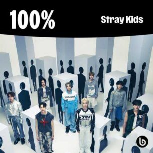 100 Stray Kids