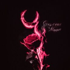 CRESCENT MOON NLE Choppa