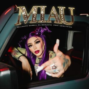 Miau Bellakath Darell El Bogueto Uzielito Mix