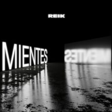 Mientes Reik