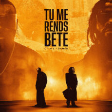 TU ME RENDS BÊTE