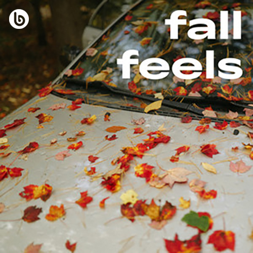 fall feels