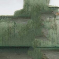 BOTA
