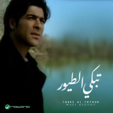 Tabki Al Tuyur