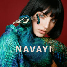 NAVAYI (Deluxe Single)